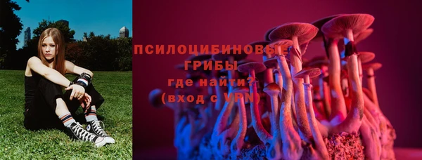 бошки Армянск