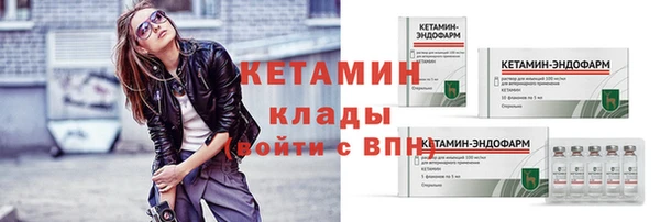стафф Арсеньев