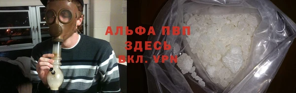 стафф Арсеньев