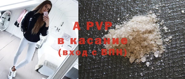 стафф Арсеньев