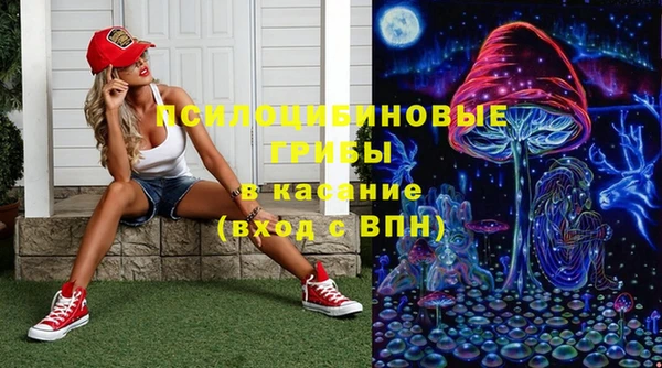 бошки Армянск