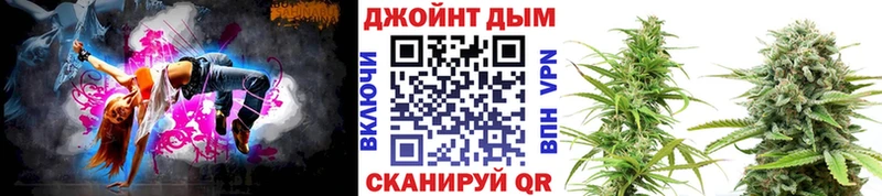 MEGA как зайти  Отрадная  Конопля сатива  где купить наркотик 